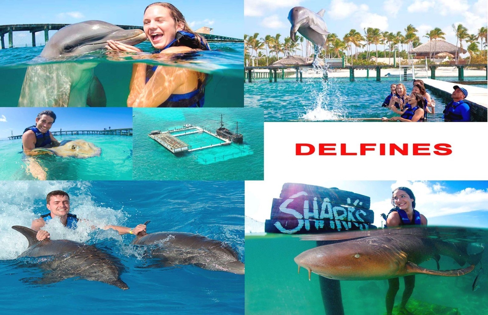 Delfines