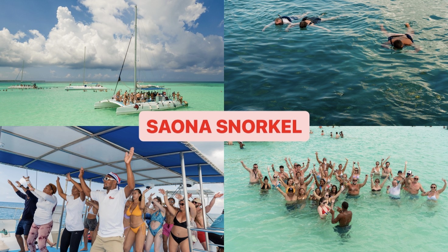 Saona Snorkel